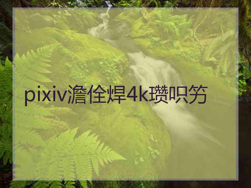 pixiv澹佺焊4k瓒呮竻