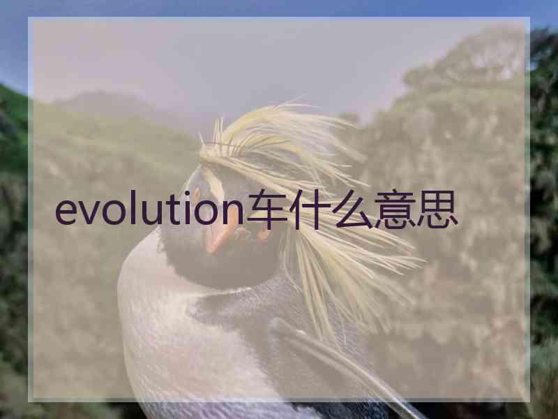 evolution车什么意思