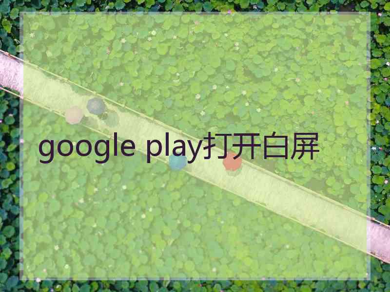 google play打开白屏