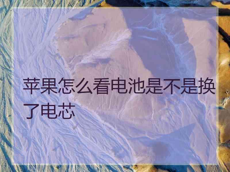 苹果怎么看电池是不是换了电芯