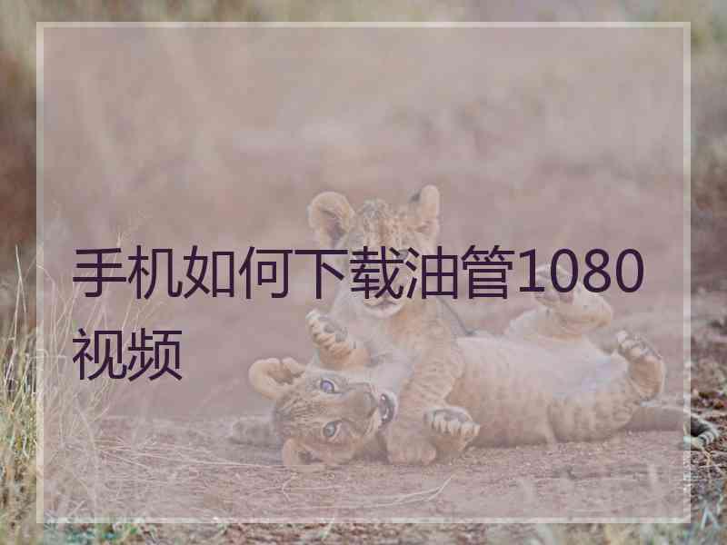 手机如何下载油管1080视频