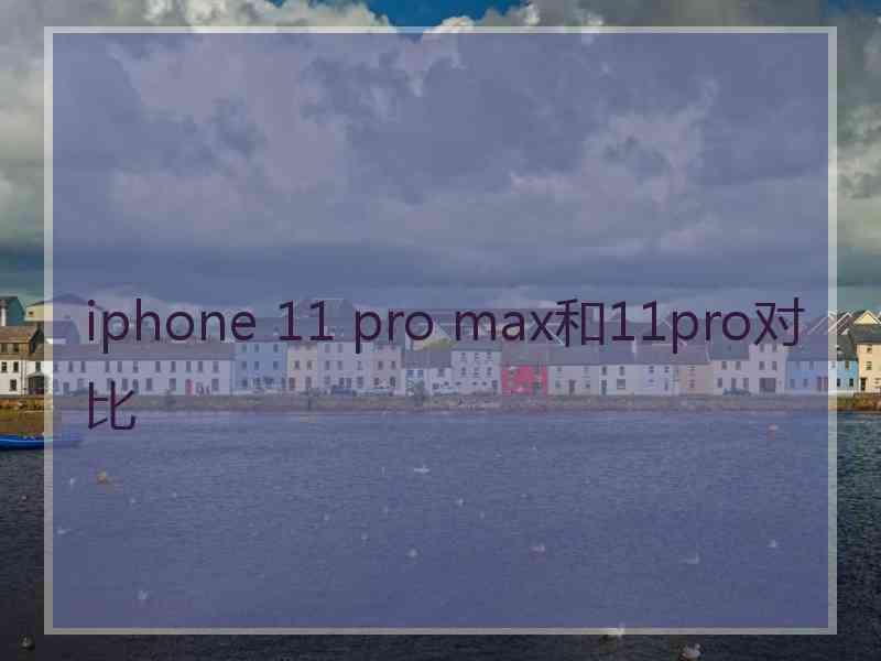 iphone 11 pro max和11pro对比