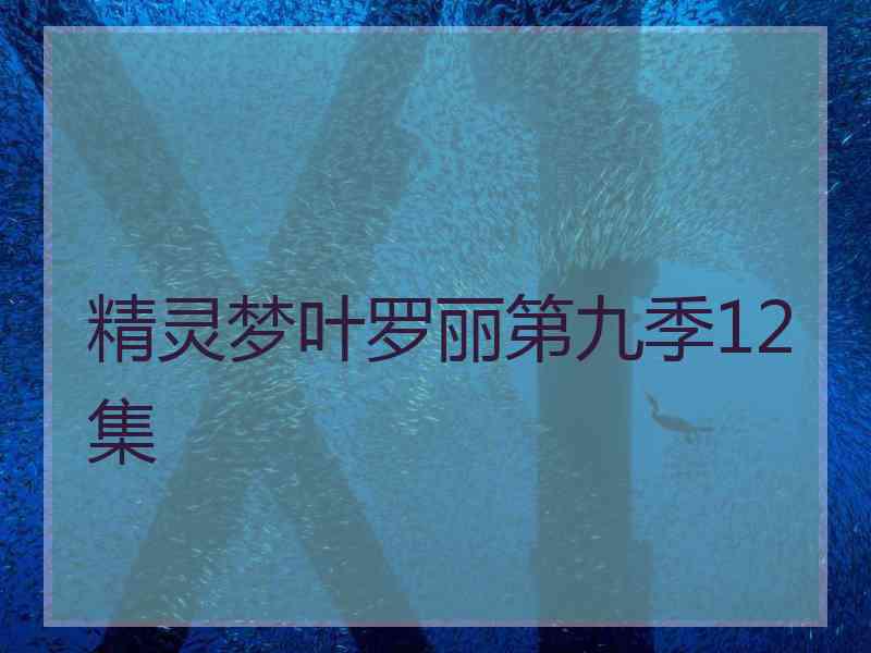 精灵梦叶罗丽第九季12集