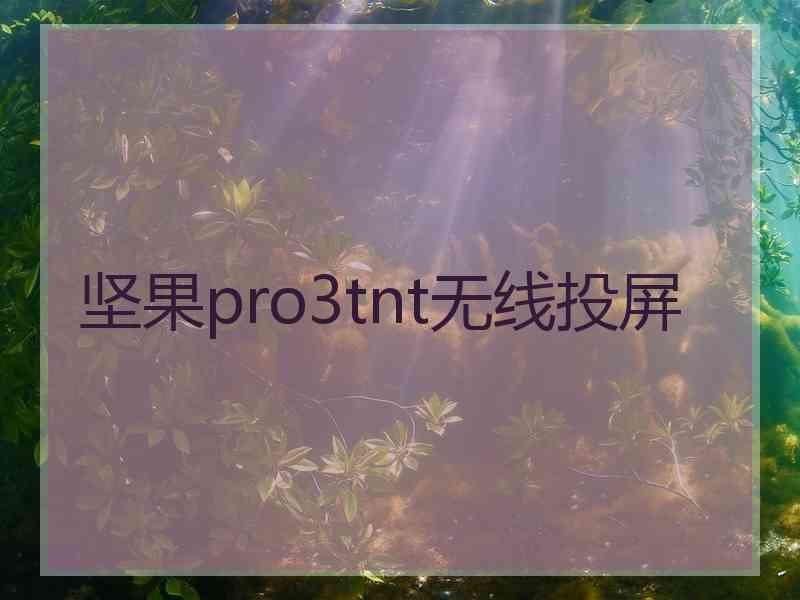 坚果pro3tnt无线投屏