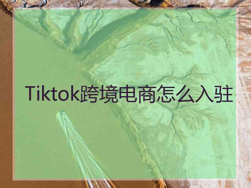 Tiktok跨境电商怎么入驻