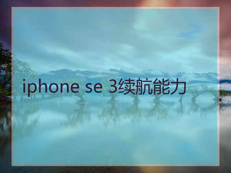 iphone se 3续航能力