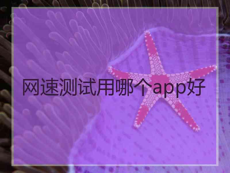 网速测试用哪个app好