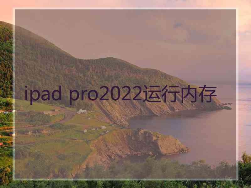 ipad pro2022运行内存