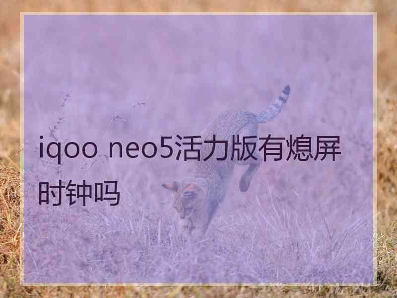 iqoo neo5活力版有熄屏时钟吗