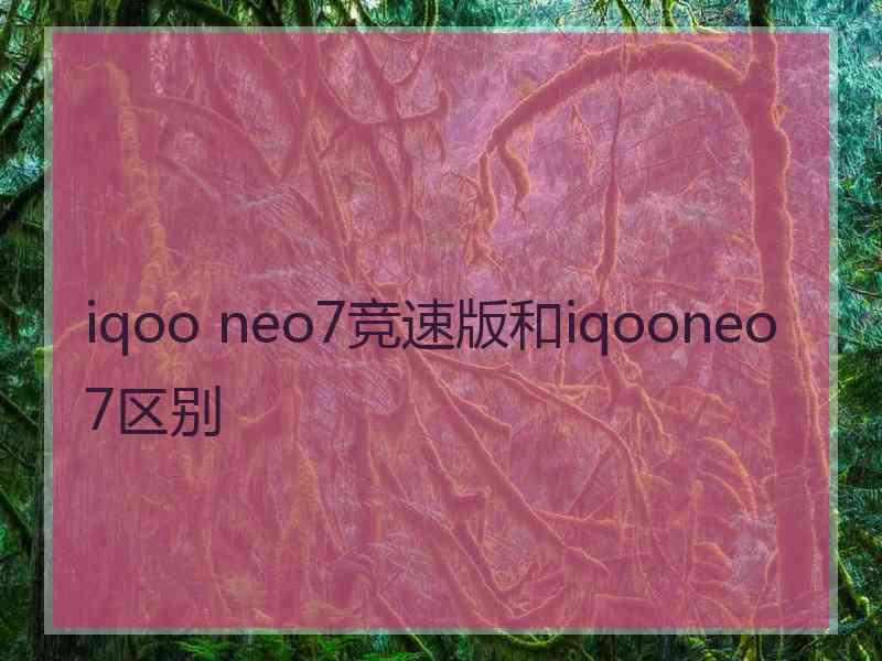 iqoo neo7竞速版和iqooneo7区别