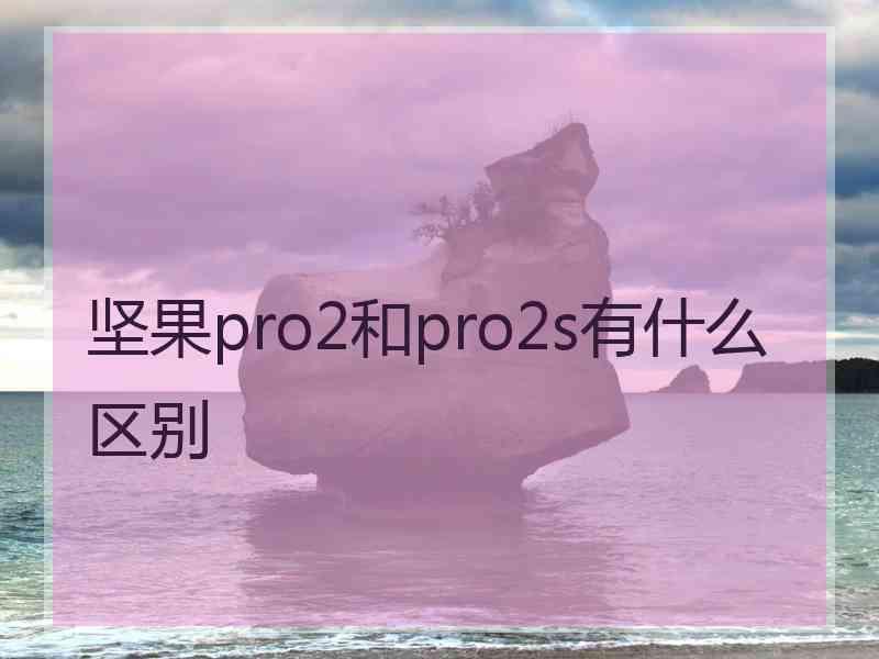 坚果pro2和pro2s有什么区别