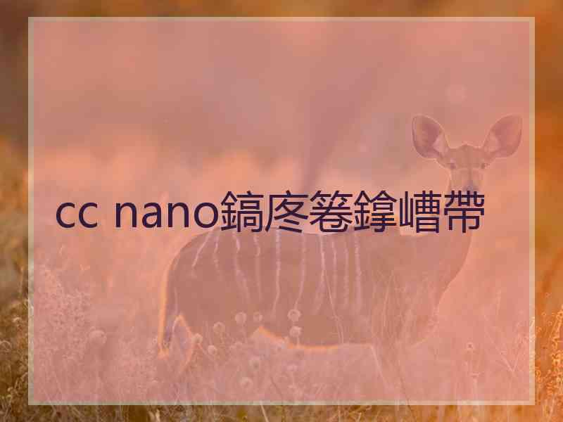 cc nano鎬庝箞鎿嶆帶