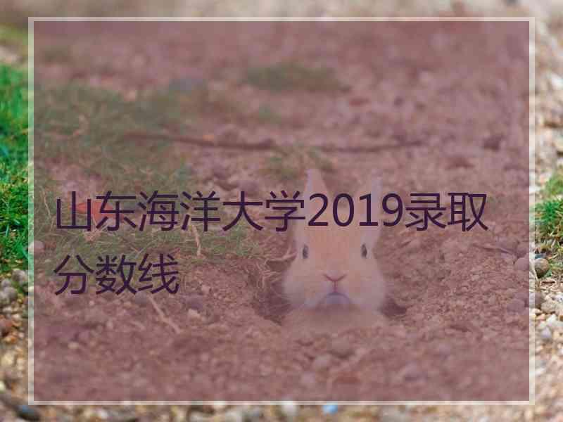 山东海洋大学2019录取分数线