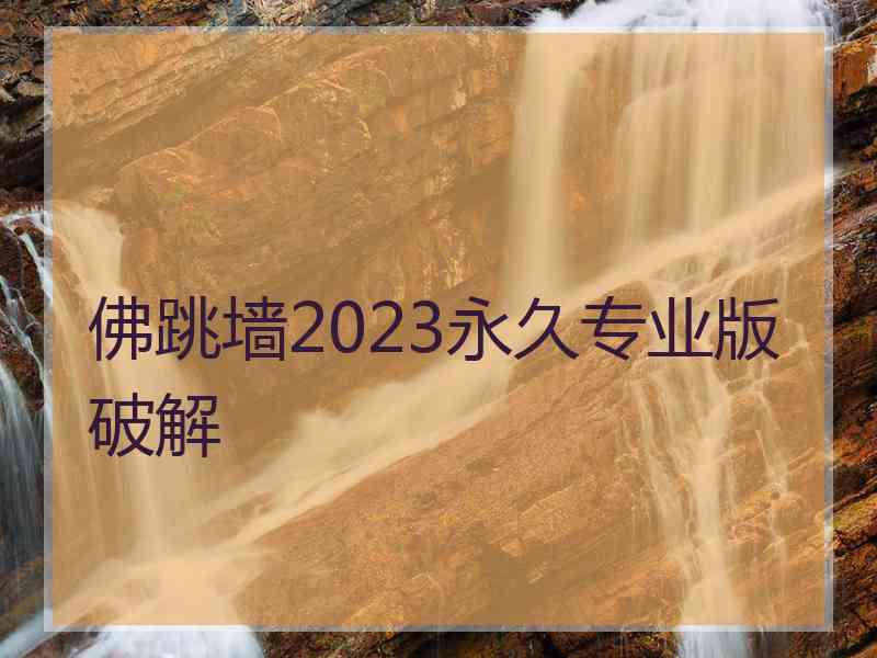 佛跳墙2023永久专业版破解