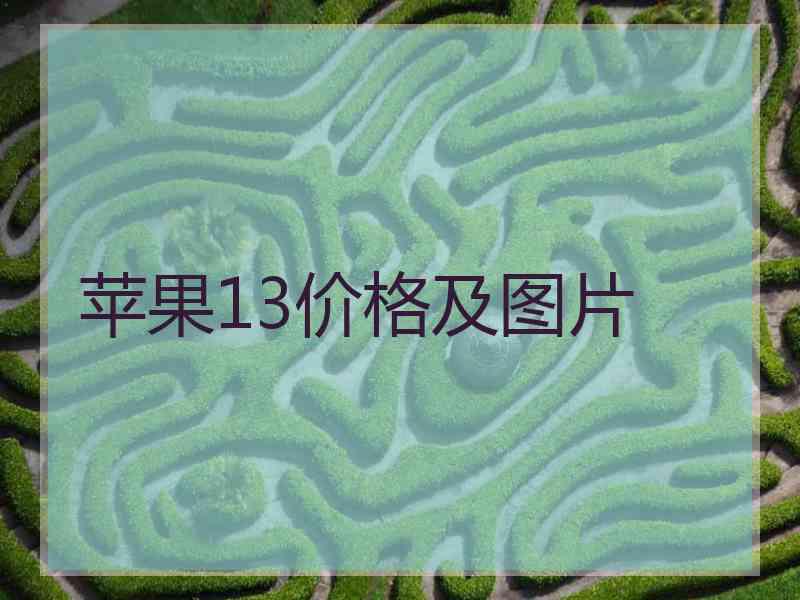 苹果13价格及图片