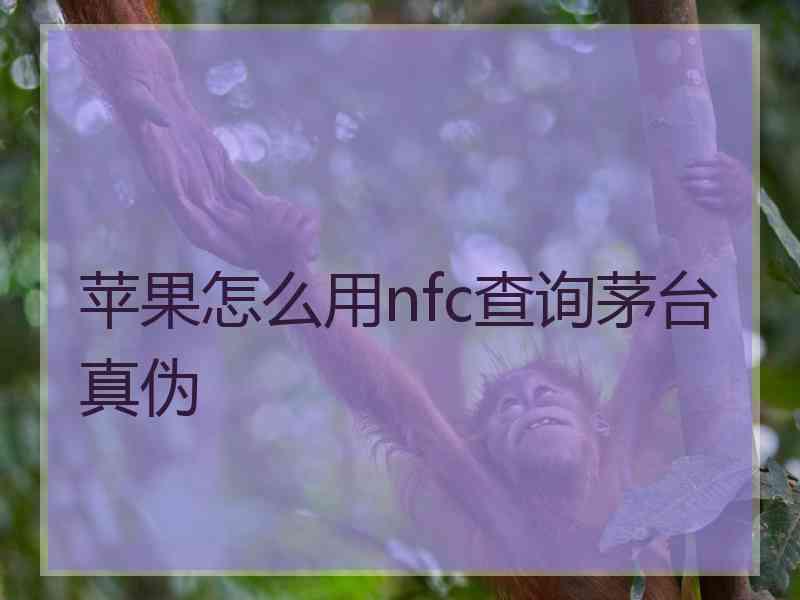 苹果怎么用nfc查询茅台真伪