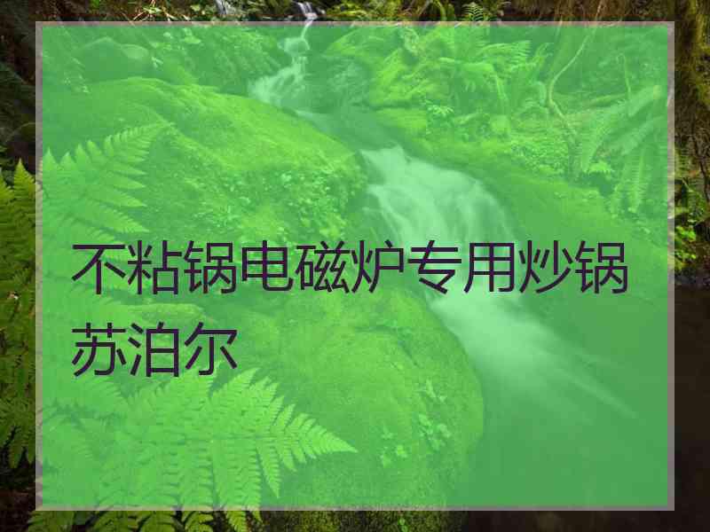 不粘锅电磁炉专用炒锅苏泊尔