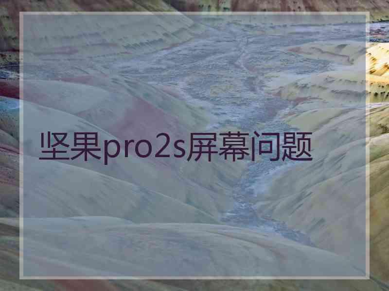 坚果pro2s屏幕问题