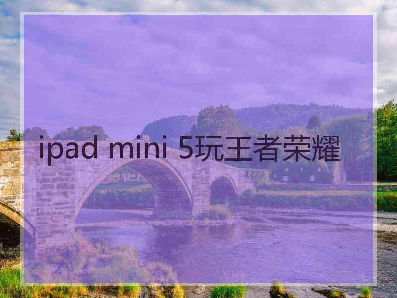 ipad mini 5玩王者荣耀