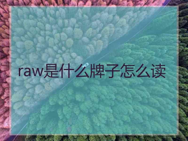 raw是什么牌子怎么读