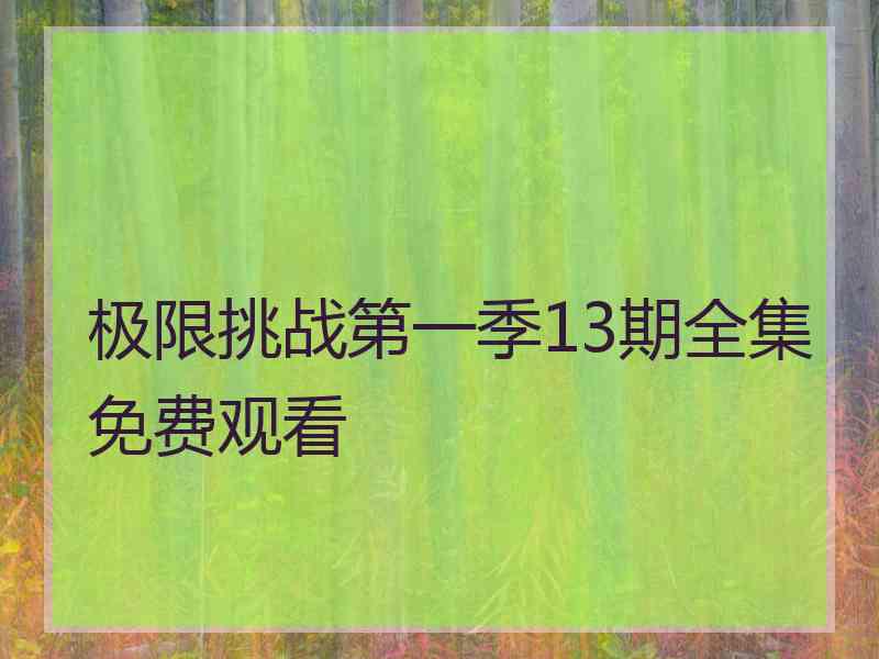 极限挑战第一季13期全集免费观看