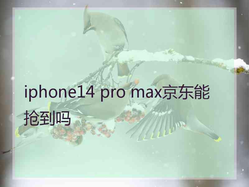 iphone14 pro max京东能抢到吗