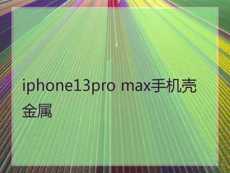 iphone13pro max手机壳金属