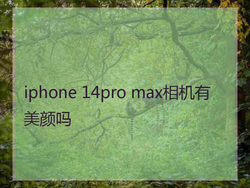 iphone 14pro max相机有美颜吗