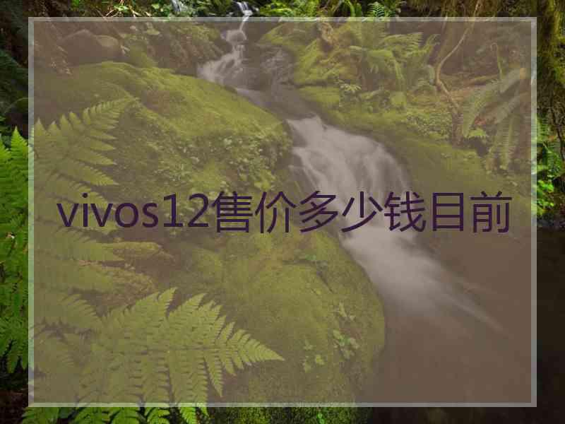 vivos12售价多少钱目前