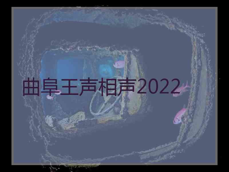 曲阜王声相声2022