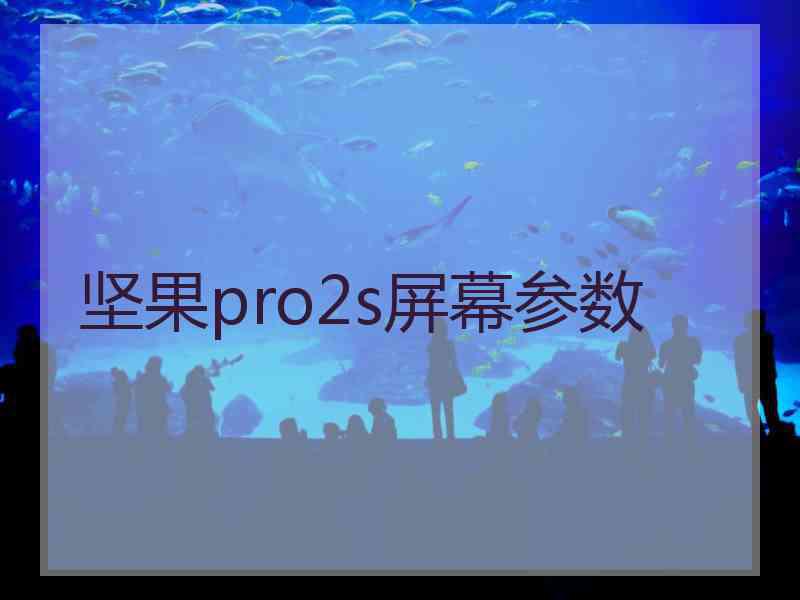 坚果pro2s屏幕参数