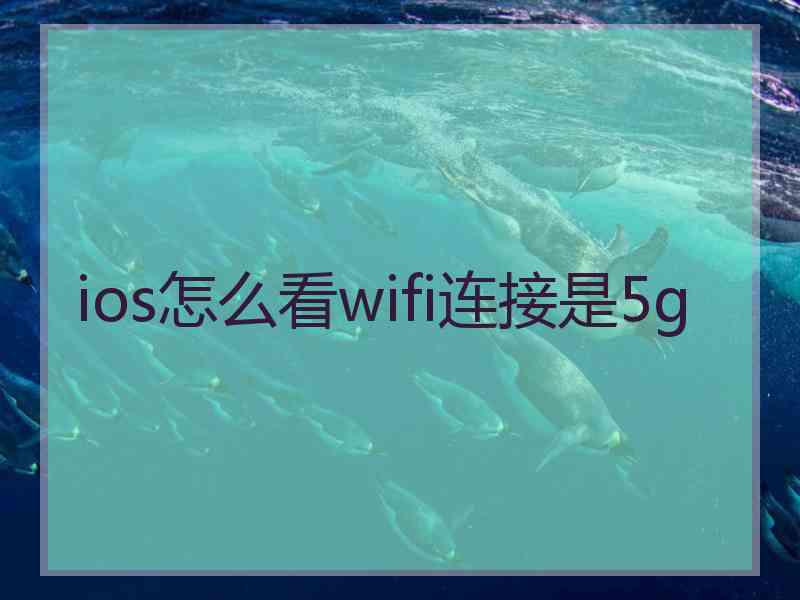 ios怎么看wifi连接是5g