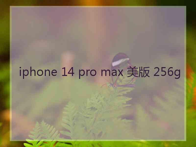 iphone 14 pro max 美版 256g