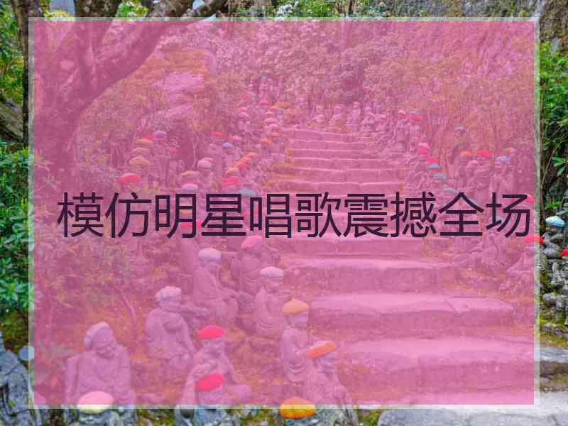 模仿明星唱歌震撼全场