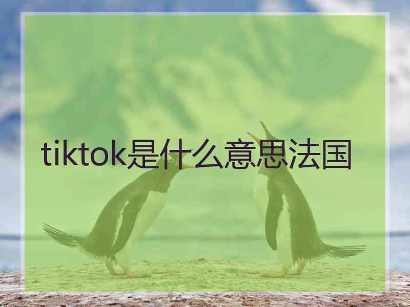 tiktok是什么意思法国