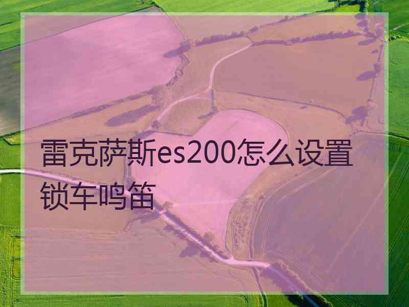 雷克萨斯es200怎么设置锁车鸣笛