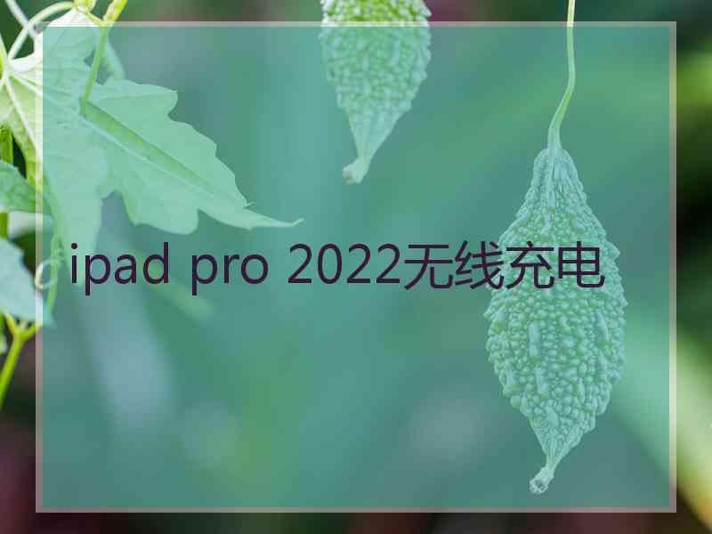 ipad pro 2022无线充电