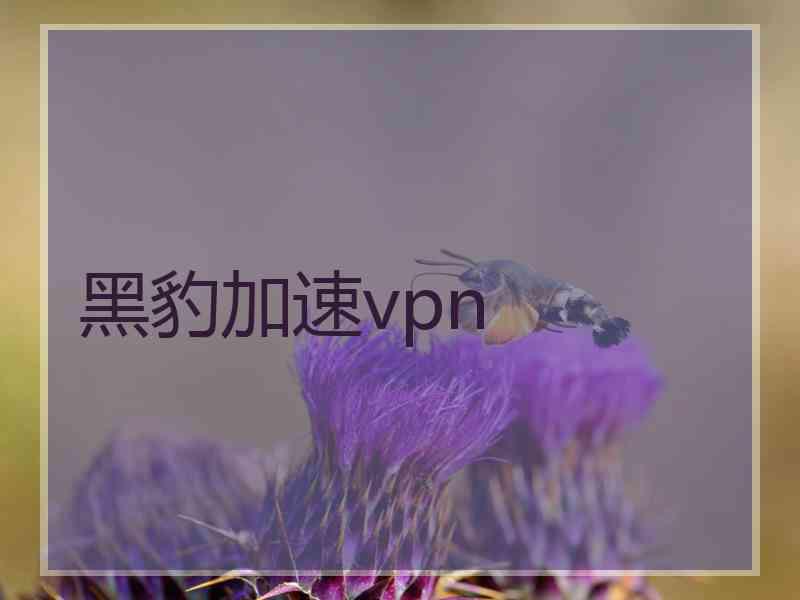 黑豹加速vpn