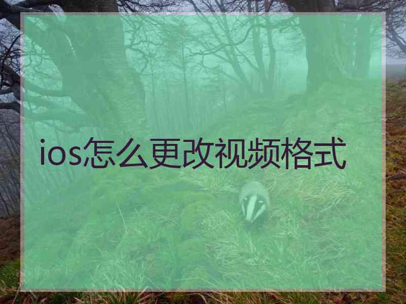 ios怎么更改视频格式