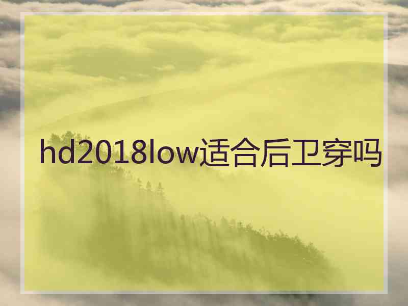 hd2018low适合后卫穿吗