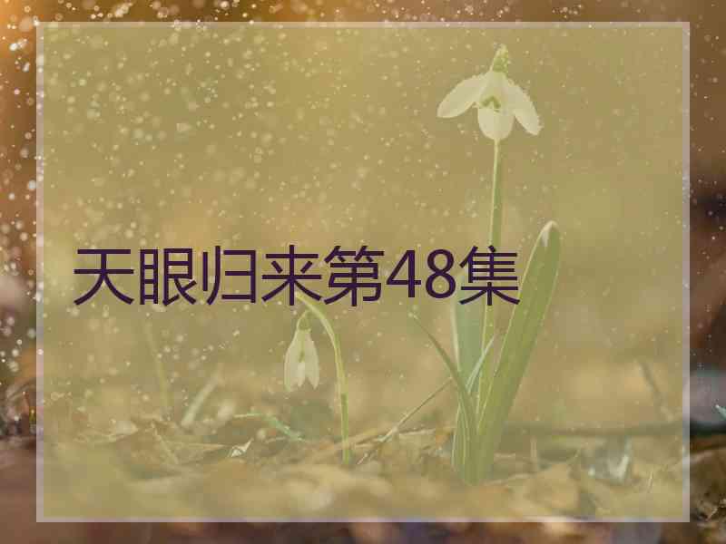 天眼归来第48集