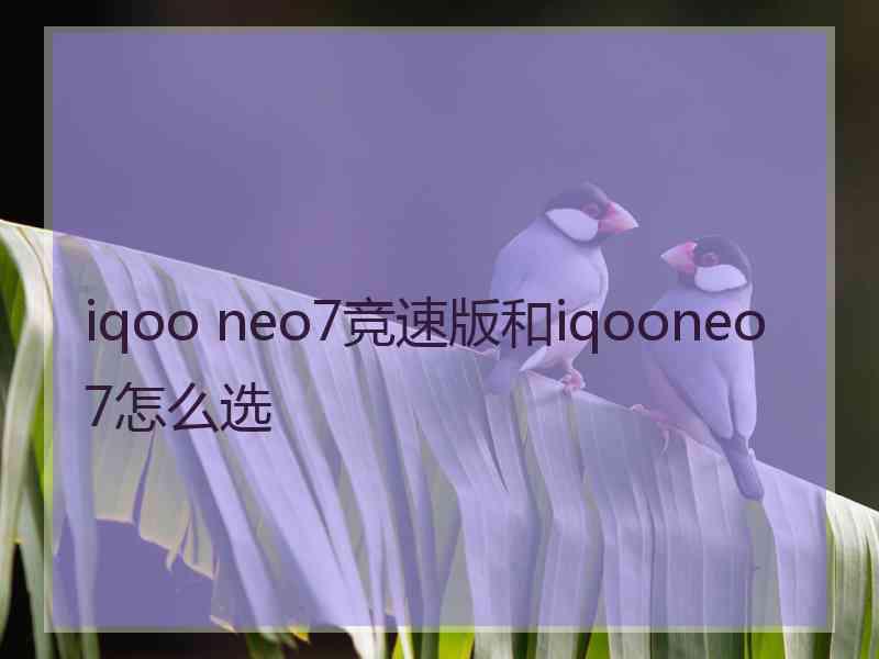 iqoo neo7竞速版和iqooneo7怎么选