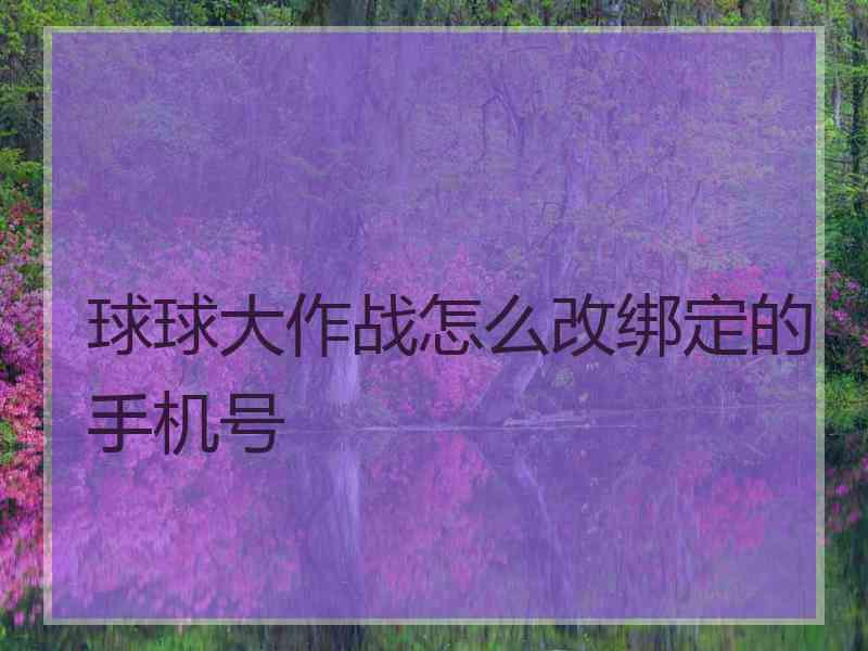 球球大作战怎么改绑定的手机号