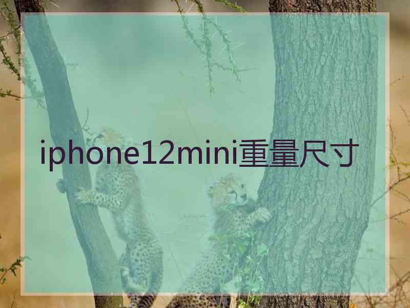 iphone12mini重量尺寸