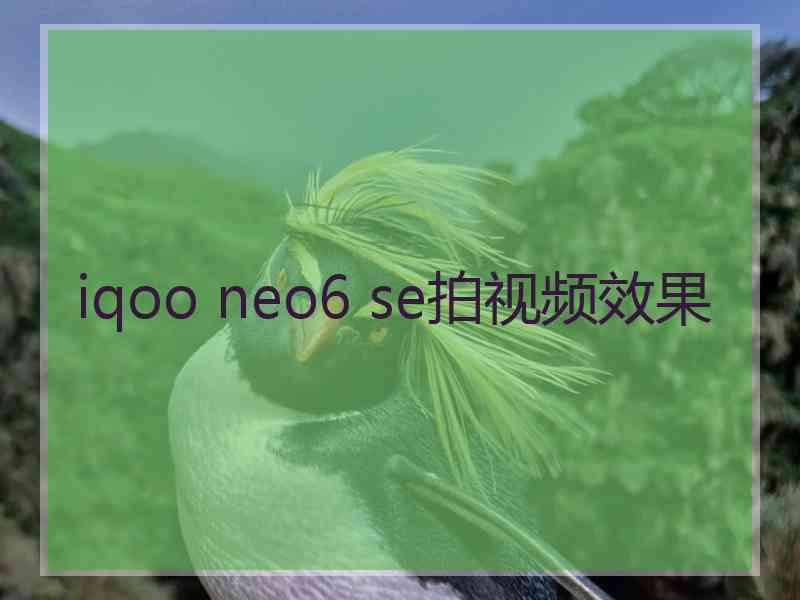 iqoo neo6 se拍视频效果