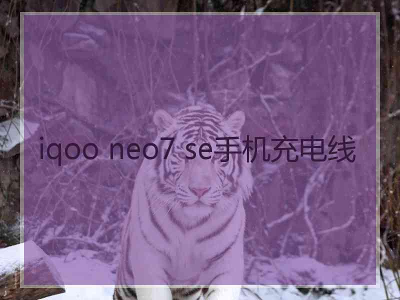 iqoo neo7 se手机充电线