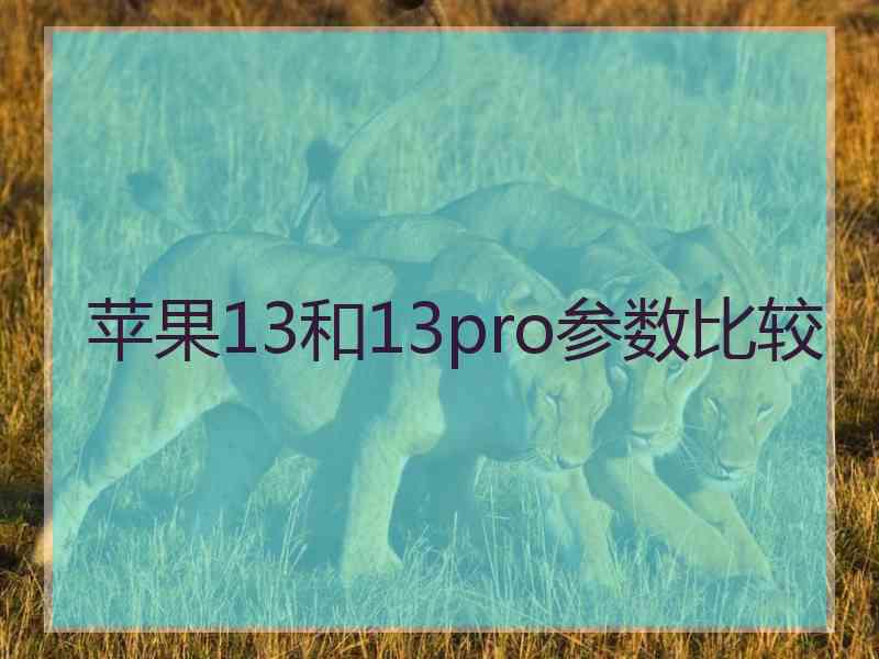 苹果13和13pro参数比较