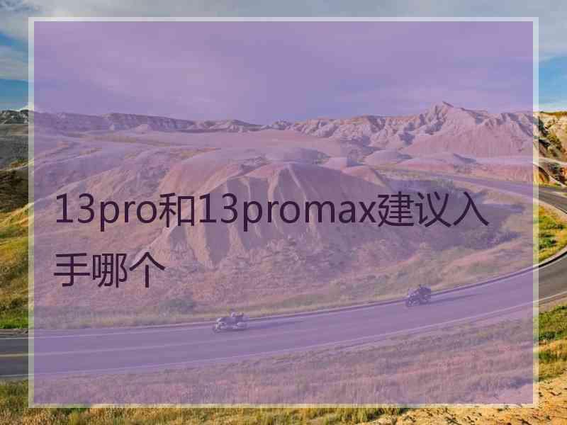 13pro和13promax建议入手哪个