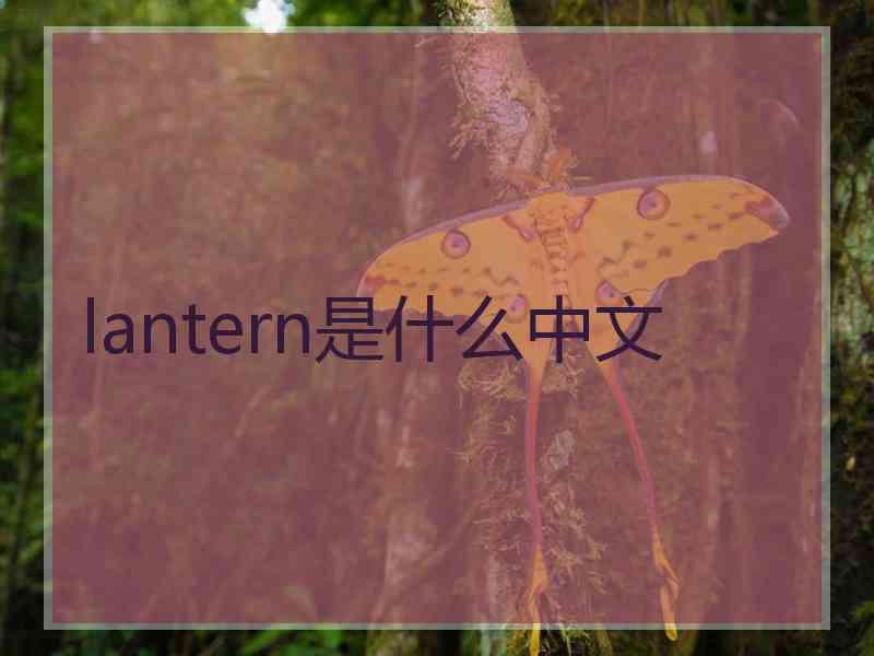 lantern是什么中文