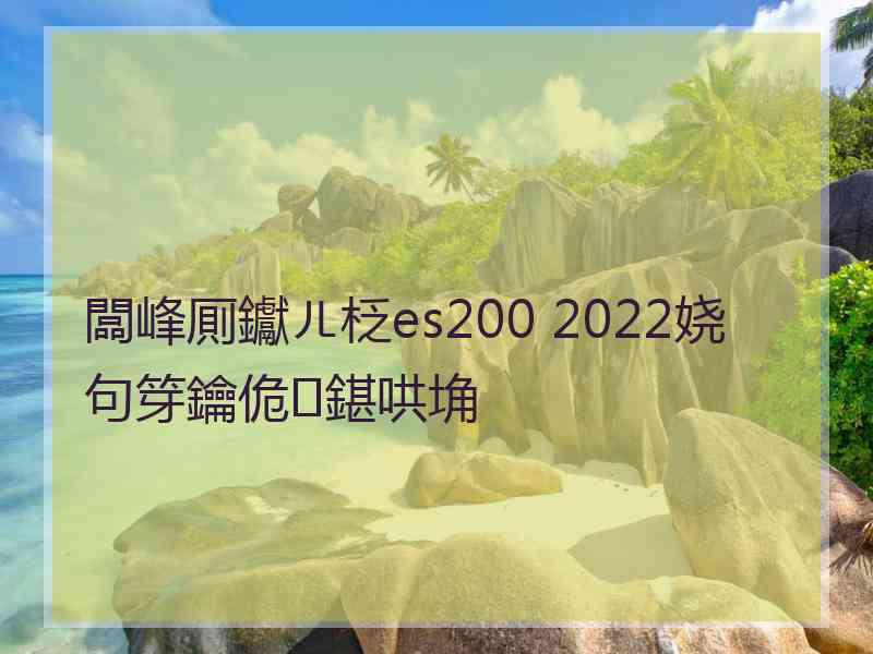 闆峰厠钀ㄦ柉es200 2022娆句笌鑰佹鍖哄埆